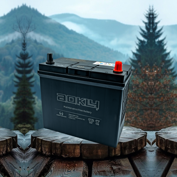 BATERIA AOKLY 45 AMP BAJA (+ - )