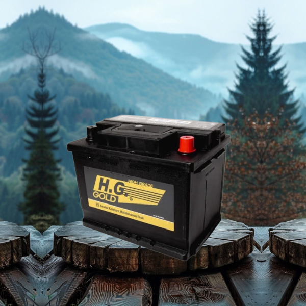 BATERIA HG 55 AH CCA 480 MF555559 HG GOL (+ -)