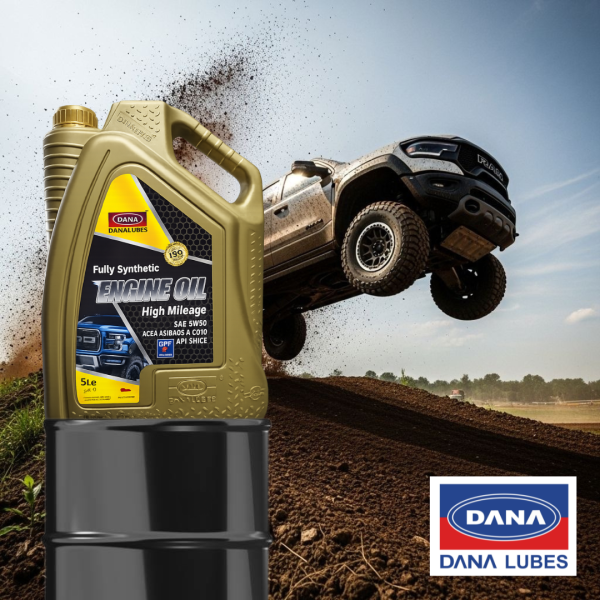 ACEITE DANA 5W-30 4LT