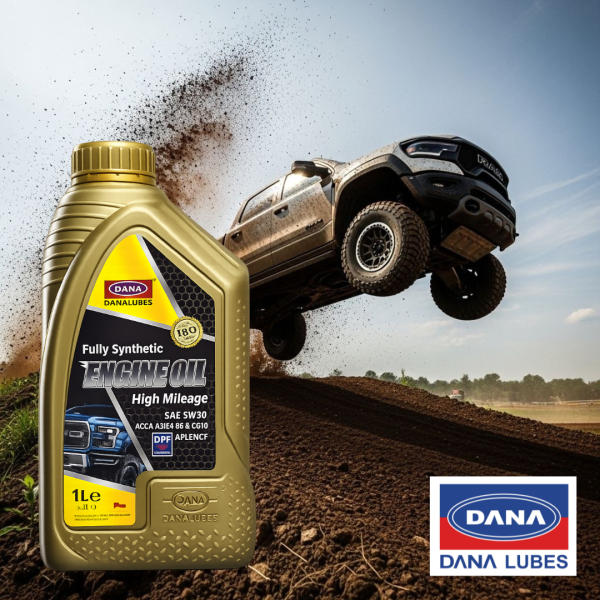 ACEITE DANA 5W-30 1LT