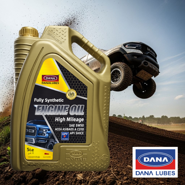 ACEITE DANA 5W-30 4LT
